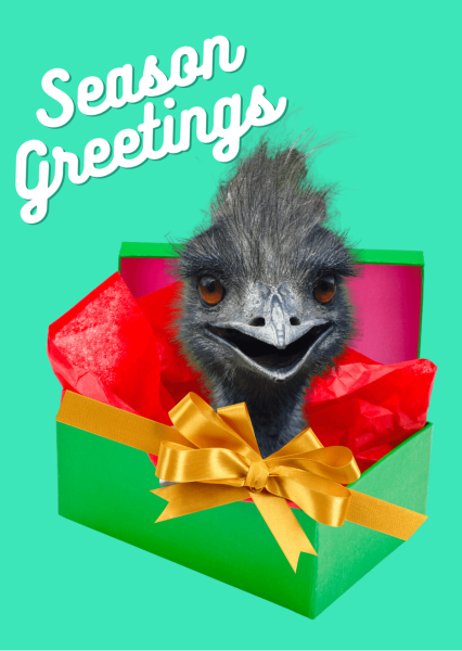 Malmesbury Animal Sanctuary Christmas Cards - Emu